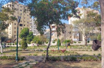 5 Dog-Friendly Places in Cairo
