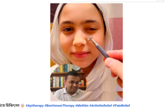 মৌমাছির কামড় দিয়ে চিকিৎসা!  Bee Venom Therapy in India
