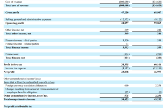 OMS Energy ($OMSE) Should Trade at 0.5 Times Enterprise Value in a Year’s Time – Investment Moats