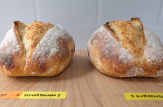 Can you make sourdough starter out of instant yeast?