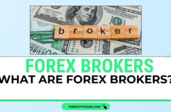What Are Forex Brokers?