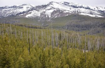 Wyoming Association of Archaeologists Sues Fed Gov’t Over NAGPRA