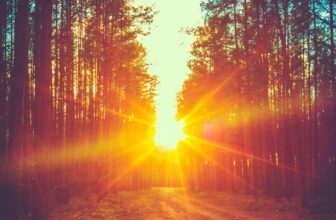 How Do I Know I’m Saved if There Are So Many Doctrines and Denominations?