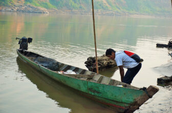 Could El Niño trigger aquaculture’s shift to algal oil?