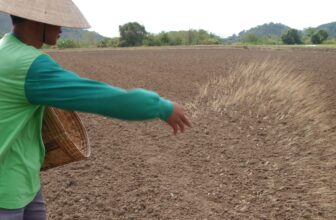 Producing More with Less Water