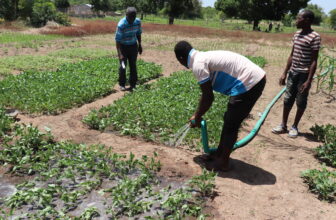 Creating Quality Rural Jobs in Ghana