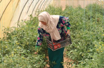 Biopesticides: Supporting Sustainable Agriculture in Jordan