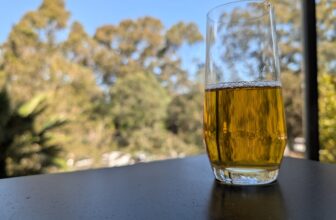 iGulu F1 — Smart home brewing – Australian Review