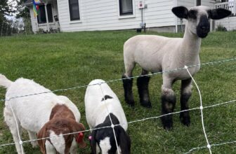 Transforming Community Through Faith and Farming