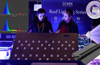 Phantom of the LED