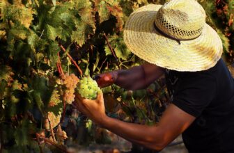 Winegrowing in Oregon’s Applegate Valley, a Conversation with Master Viticulturist Jason Cole — Wine Camp by Craig Camp