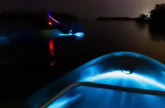Best Places to See Glowing Waters (2026 Guide)