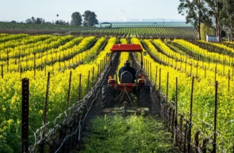 How to Kill Winter Crops Without Losing Soil Gains
