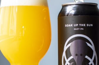 Review: The Establishment x Kilter Brewing Soak Up The Sun Hazy IPA – BeerCrank.ca