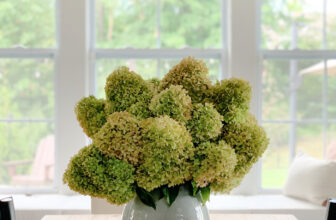 How to Easily Revive Wilted Hydrangeas {Enjoy Weeks Longer!} | Thrifty Decor Chick