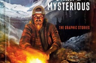 International Journal of Comic Art blog: Graphic novel review