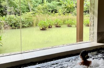 Anantara Layan Phuket: The Luxury Resort That Let Me Feel Like Myself Again