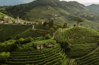 Andreola Valdobbiadene Recent Releases – 1WineDude.com