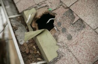 Home Repairs from Wild Animal Damage in Minnesota