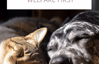 Animal welfare requires human welfare first