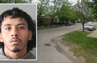 Anthony Nunnally Charged With Two South Side Murders Was Also Arrested for Carjacking Between the Two Killings