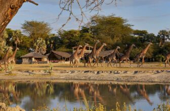 Auberge Collection Is Expanding Into Africa With 9 Extraordinary Safari Camps