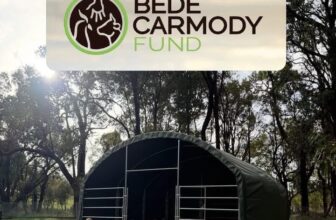 Thank you Bede Carmody Fund