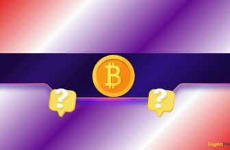 Bitcoin’s Bear Market Isn’t Over? These Analysts Expect a Major Crash in the Short Term