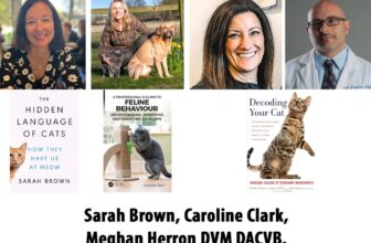Cat Behaviour with Sarah Brown, Caroline Clark, Meghan Herron DACVB and Carlo Siracusa DACVB at Bark! Fest