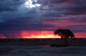 The Best Time To Visit Etosha National Park Guide For 2025