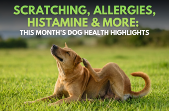 Scratching, Allergies, Histamine & More: This Month’s Dog Health Highlights