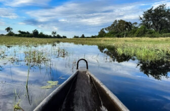 On the Water in Botswana: Mokoro and Motorboat Excursions