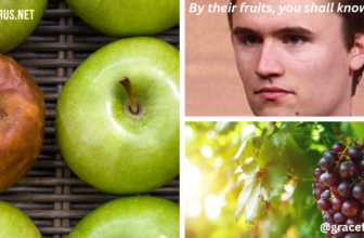 By their fruits, you shall know them –