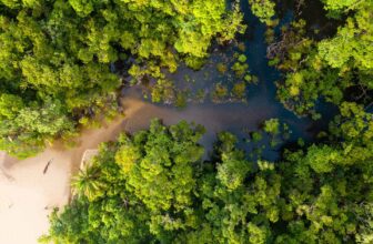16 BEST Cairns Day Trips Not to Be Missed [2026 Guide]