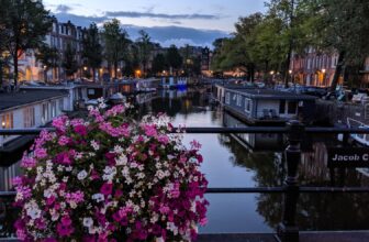 Best Places to Stay (and Eat!) in Amsterdam: a Neighbourhood Guide