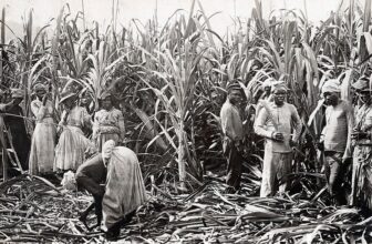 Busting the Myth of the “Abolitionist” British Monarchy