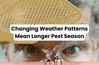 Changing Weather Patterns Mean Longer Summer Pest Seasons