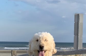 The Get Ready calendar photo contest is now open!
