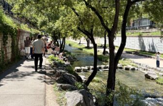 Dispatch from Seoul: Reflections on the Science, Technology & Human Values Science and Technology Studies School, June 2026