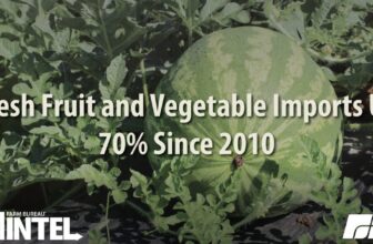 Competing Across the Calendar: The Growing Squeeze on U.S. Produce | Farm Bureau Intel Markets