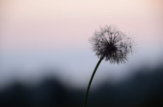 Encouragement for the Encourager – Look Up Sometimes