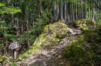 How to Walk the Kumano Kodo in Japan On Your Own