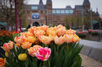 The best Amsterdam Museums for kids they’ll love