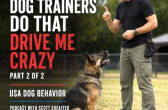 5 Dog Trainer Mistakes That Drive Me Crazy | USA Dog Behavior