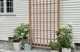How We Transformed an Overlooked Space Beside Our Driveway