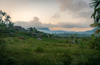 520+ Best Bali Quotes and Best Bali Captions for Instagram