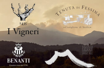 four volcanic winemakers (part 2) ~ Wine And Other Stories
