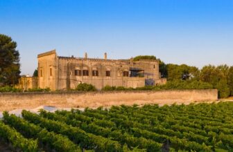 The Italian Red Wine That Is Capable Of Making Various Great Styles
