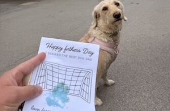Happy Father’s Day From The Dog