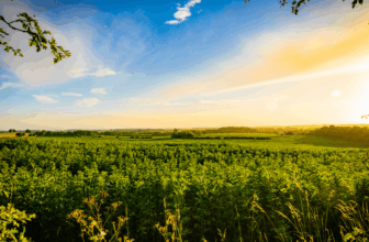 A Quick Saturday Morning Prayer to Make You More Grateful